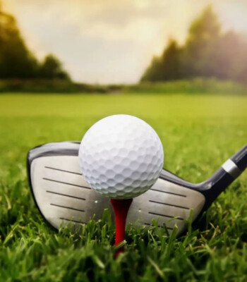 Group logo of Golfe